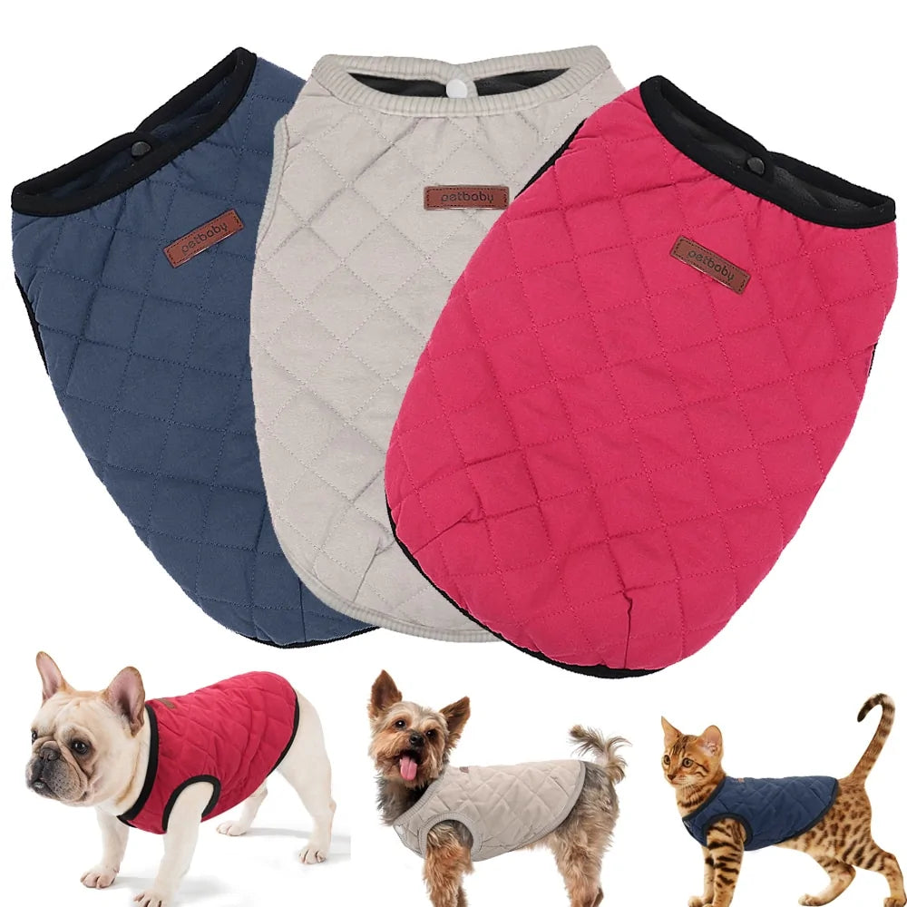 Dog Winter Jacket